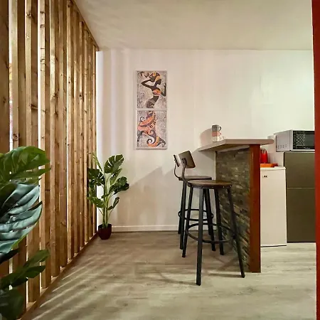 Rubis - Centre Apartment Carcassonne